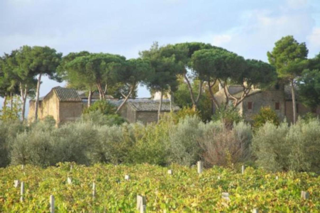 Aparthotel Antico Borgo La Commenda Montefiascone Zewnętrze zdjęcie